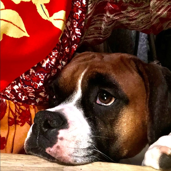 MAKE ME AN OFFER. We’re ALL WINNERS. !!👍😉👚👕👗🩱👙👠🥿🩴🥻👘🥾🧤👒🩳🥻🐶🐾💕 - Picture 3 of 16